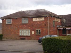 Picture of The Dove