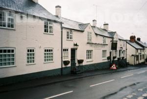 Picture of The Golden Fleece