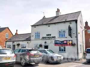 Picture of The New Greyhound