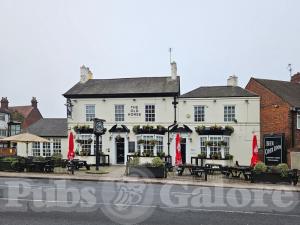 Picture of The Old Horse