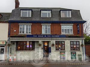 Picture of The Swan in the Rushes