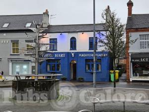 Picture of White Hart