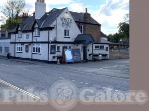 Picture of The White Hart