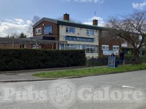 Picture of The Royalist