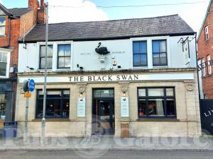 Picture of The Black Swan