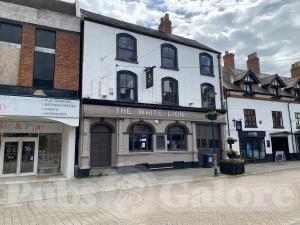 Picture of The White Lion