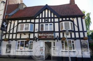 Picture of White Horse