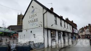 Picture of Lion & Snake