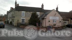 Picture of Turks Head