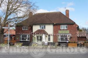 Picture of Royal Oak