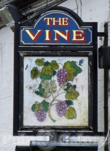 Picture of The Vine