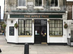 Picture of The Apple Tree