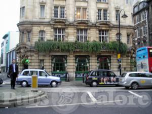 Picture of The Ivy House