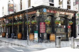 Picture of The Plough