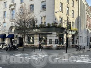 Picture of The Prince of Wales