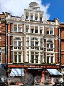 Picture of The Bull & Egret