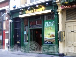 Picture of Walkabout