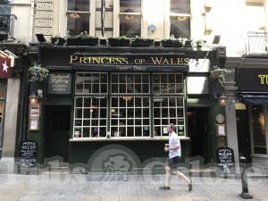 Picture of Princess of Wales