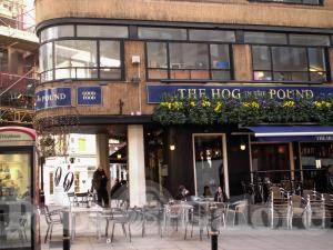 Picture of Hog In The Pound