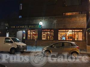 Picture of The Monkey Puzzle