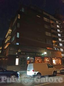 Picture of The Monkey Puzzle