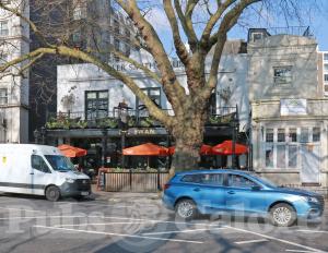 Picture of The Swan