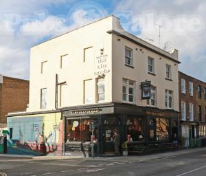 Picture of The Old Eagle