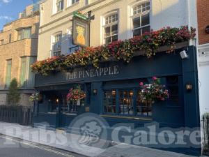 Picture of The Pineapple