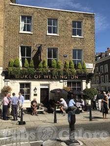 Picture of Duke of Wellington