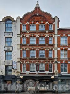 Picture of White Bear