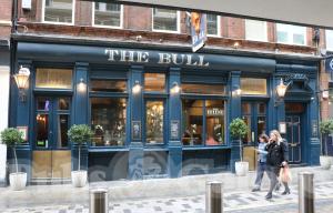 Picture of The Bull