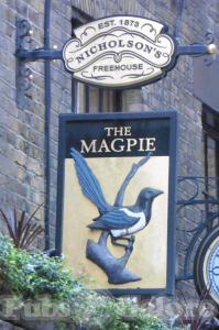 Picture of The Magpie