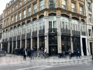 Picture of Golden Fleece