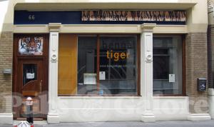 Picture of Bengal Tiger