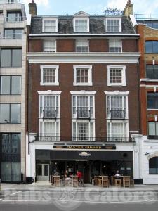 Picture of Finch's