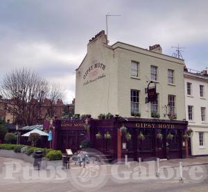 Picture of The Gipsy Moth