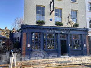 Picture of The Gipsy Moth