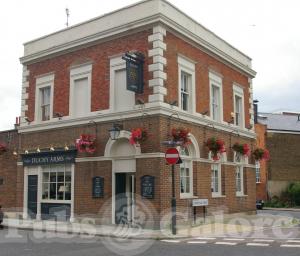 Picture of The Duchy Arms