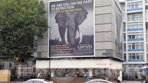 Picture of Elephant & Castle