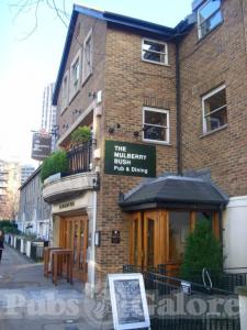 Picture of The Mulberry Bush