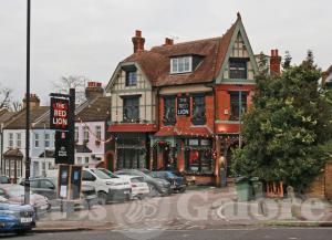 Picture of The Red Lion