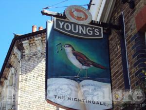 Picture of The Nightingale