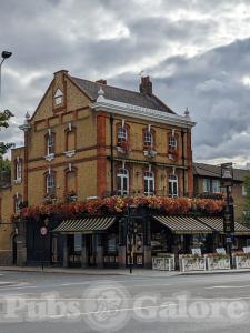 Picture of The Duchess Belle