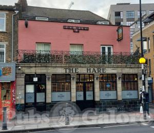 Picture of The Hare