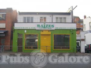 Picture of Raizes