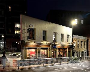 Picture of The Widows Son