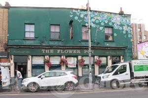 Picture of The Flower Pot