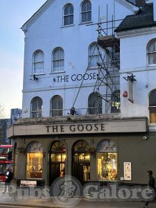 Picture of The Goose