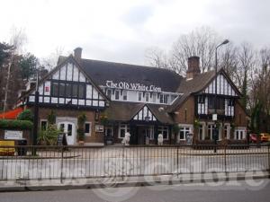 Picture of The Old White Lion