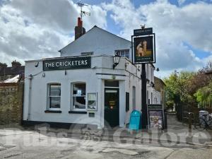 Picture of The Cricketers